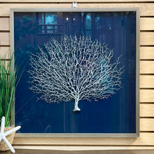 Load image into Gallery viewer, Sea Fan Shadow Box Art
