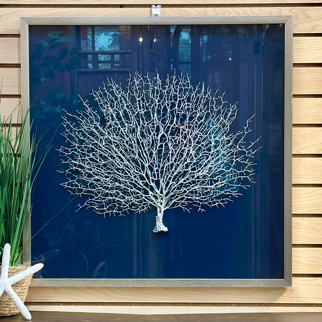 Sea Fan Shadow Box Art