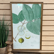 Load image into Gallery viewer, Gold Framed Botanical I
