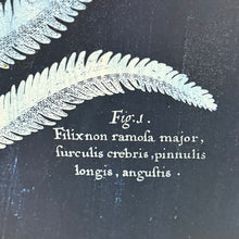 Load image into Gallery viewer, Black/White Leaf Art
