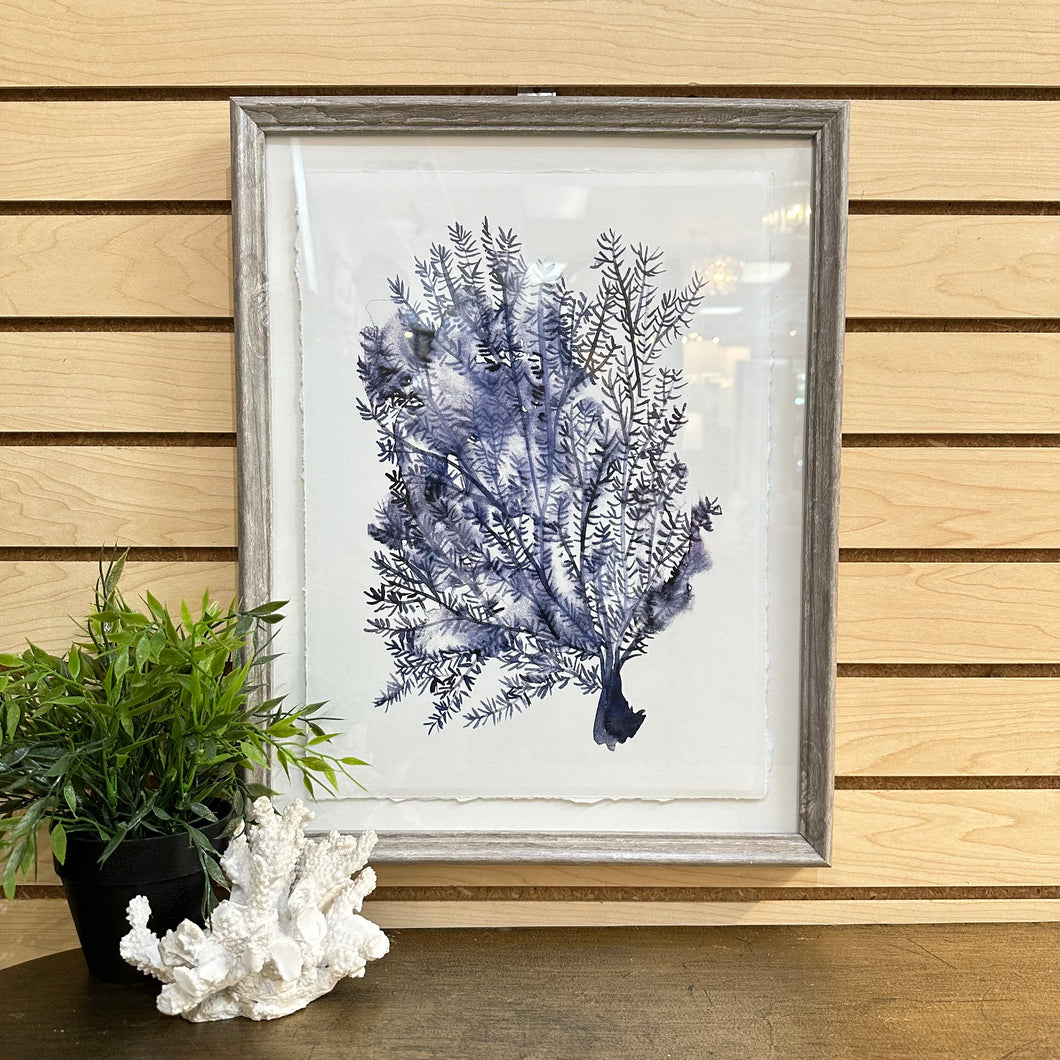 Framed Blue Sea Fan