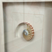 Load image into Gallery viewer, 'Natural Nautilus II' Art
