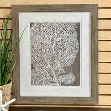 Load image into Gallery viewer, Taupe Sea Fan II Art
