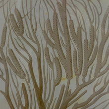 Load image into Gallery viewer, Seafan IV Art
