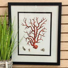 Load image into Gallery viewer, Framed Coral Art I

