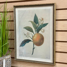 Load image into Gallery viewer, Silver Framed Botanical III
