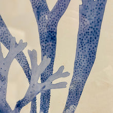 Load image into Gallery viewer, Blue Sea Plant I Art
