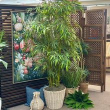 Load image into Gallery viewer, Tall Potted Tree
