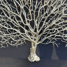 Load image into Gallery viewer, Sea Fan Shadow Box Art
