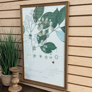 Gold Framed Botanical III
