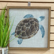 Load image into Gallery viewer, Turtle II Art
