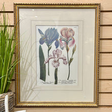 Load image into Gallery viewer, Gold Framed Irises II
