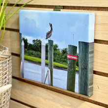 Load image into Gallery viewer, Pelican Photography On Canvas
