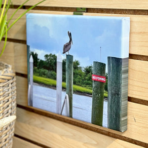 Pelican Photography On Canvas