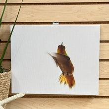 Load image into Gallery viewer, Kat Livengood Hummingbird Canvas
