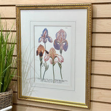 Load image into Gallery viewer, Gold Framed Irises I
