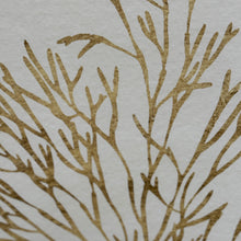 Load image into Gallery viewer, Gold Framed Sea Life Art
