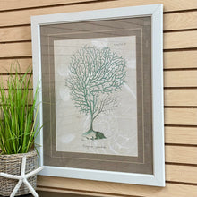 Load image into Gallery viewer, Paragon 'Gorgonia On Linen I'
