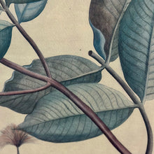 Load image into Gallery viewer, Green Leaf Art II
