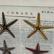 Load image into Gallery viewer, Starfish Art

