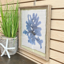 Load image into Gallery viewer, Framed Blue Coral I
