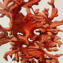Load image into Gallery viewer, Framed Coral Art II
