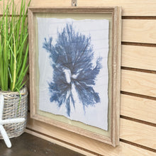 Load image into Gallery viewer, Framed Blue Coral II
