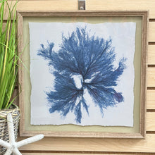 Load image into Gallery viewer, Framed Blue Coral II
