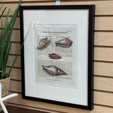Load image into Gallery viewer, Shell II Art
