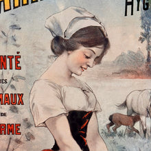 Load image into Gallery viewer, &#39;Farine Lactee Fourragere&#39; Art
