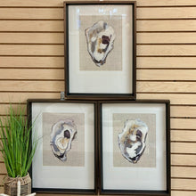 Load image into Gallery viewer, Oyster III Art
