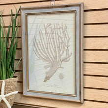 Load image into Gallery viewer, Seafan I Art

