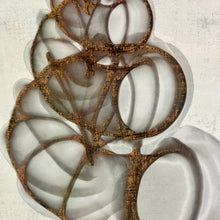 Load image into Gallery viewer, Black Framed Shell Art I
