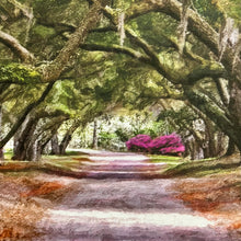 Load image into Gallery viewer, Mike Bryand 'Ortons Plantation'
