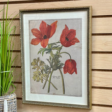 Load image into Gallery viewer, Silver Framed Botanical I
