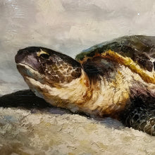 Load image into Gallery viewer, Framed Sea Turtle Art
