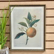Load image into Gallery viewer, Silver Framed Botanical III
