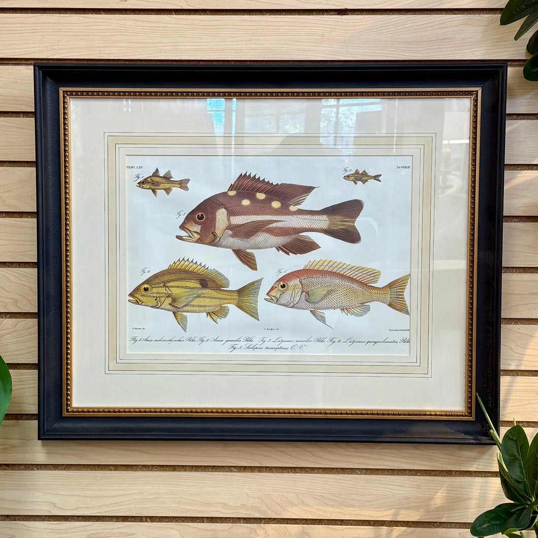 Peter Beeker 'Chromolithograph Fish II'