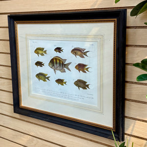 Peter Beeker 'Chromolithograph Fish I'