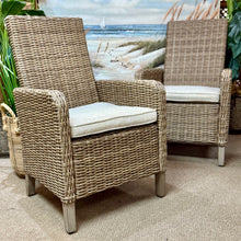 Load image into Gallery viewer, &#39;Beachcroft&#39; Arm In/Outdoor Chair
