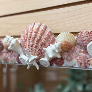 Handmade Shell Mirror