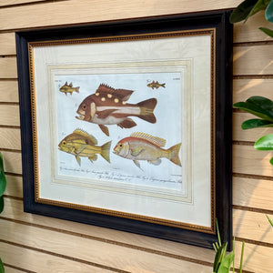 Peter Beeker 'Chromolithograph Fish II'