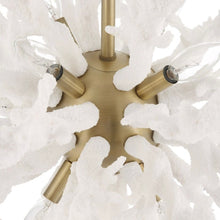 Load image into Gallery viewer, Uttermost 'Coral Reef' Chandelier
