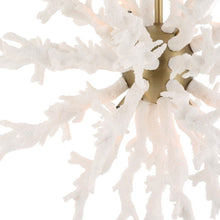 Load image into Gallery viewer, Uttermost 'Coral Reef' Chandelier
