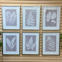 Load image into Gallery viewer, Uttermost &#39;Moonlight Ferns&#39; Art V

