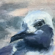 Load image into Gallery viewer, &#39;Shorebird II&#39; Fine Art Giclee
