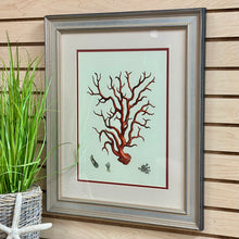 Load image into Gallery viewer, Coral Framed Art II
