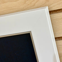 Load image into Gallery viewer, Oyster On Navy I Giclee
