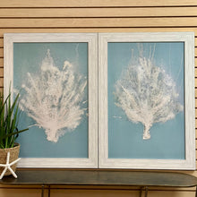 Load image into Gallery viewer, Aqua Sea Fan II Giclee
