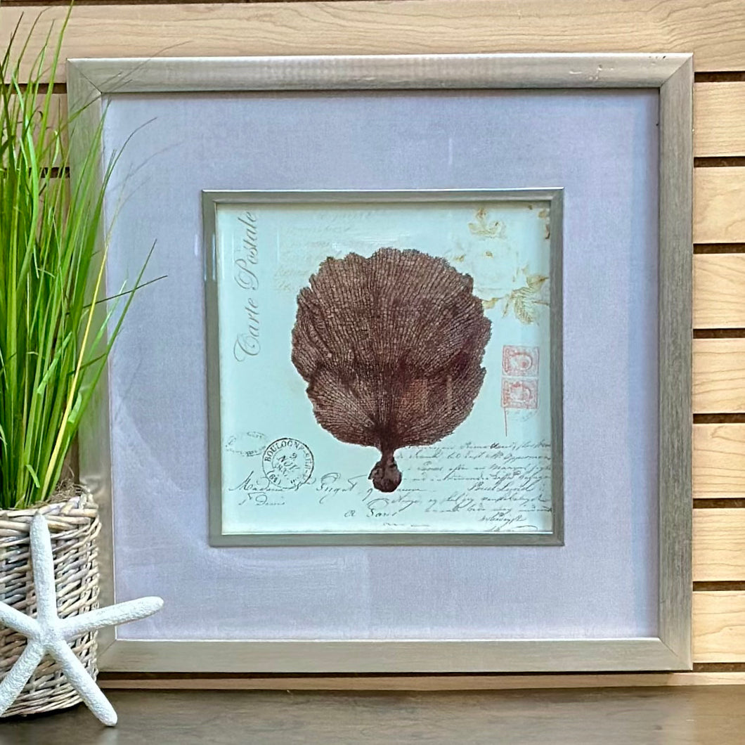 Silver Framed Sea Fan